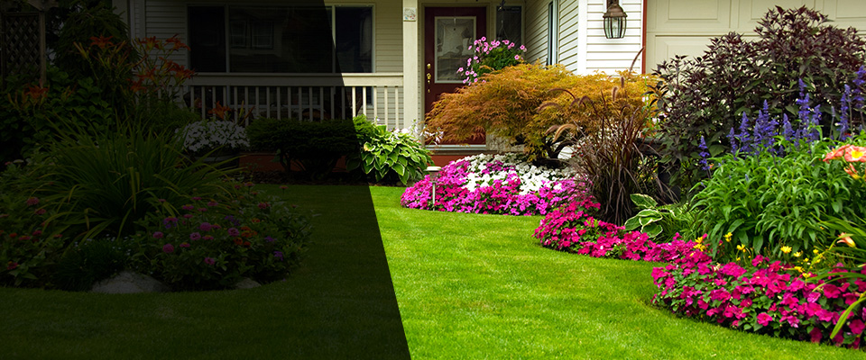 Jermyn Landscapers