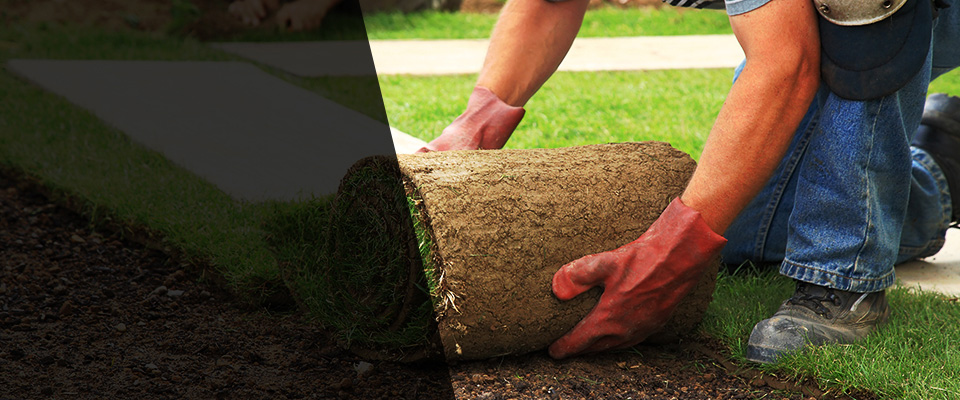 Jermyn Landscapers